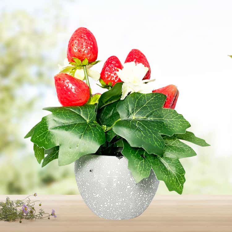 Faux Strawberry Potted Plant