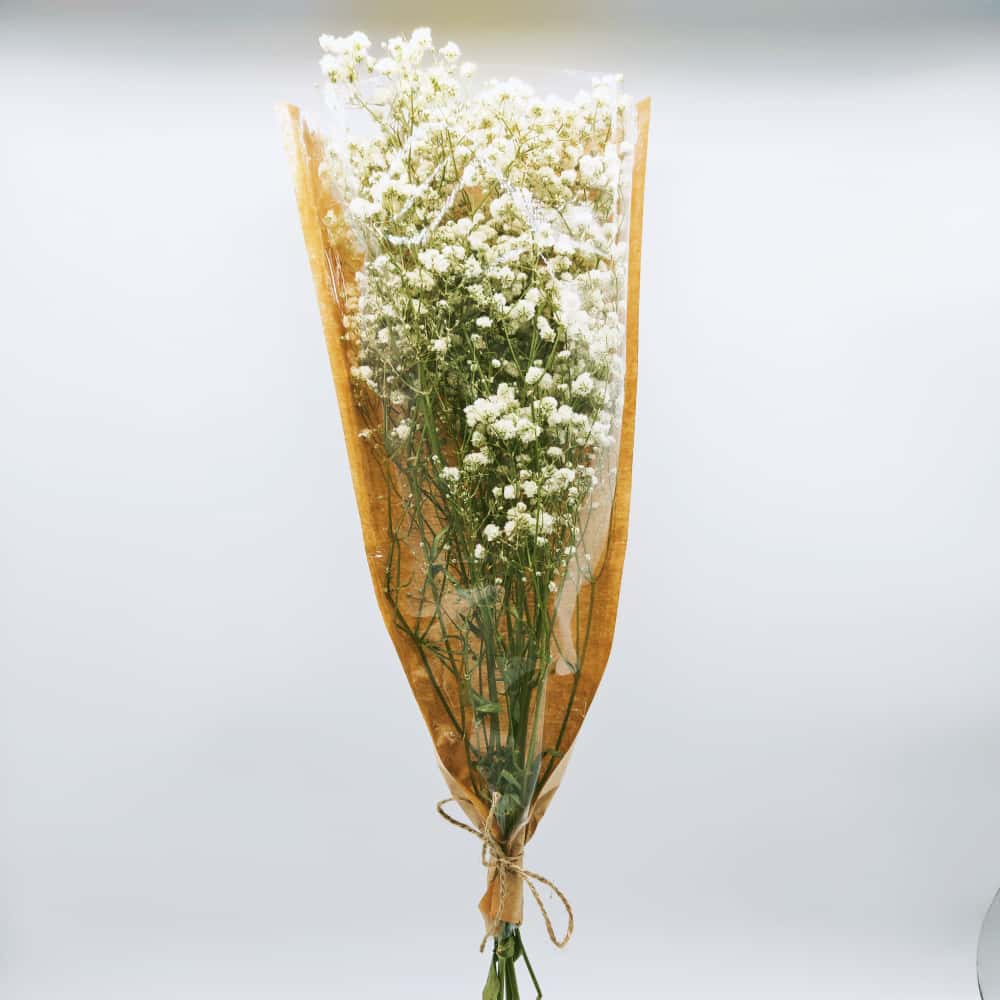 Preserved baby's breath bouquet